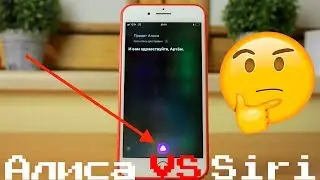 Siri на iOS 11 – ты умная, но не как Алиса от Яндекса!