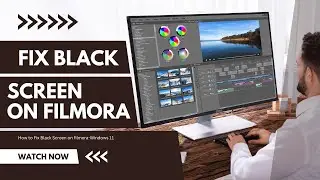 How to Fix Black Screen on filmora-Windows 11