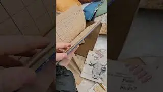 Даже у свиней есть имя. Februar 2024
