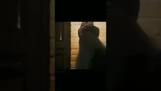 Не надо, Хагрид!😢❤️ 
