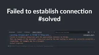 Flutter Web Failed To Establish Connection Issue