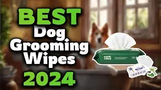 Top Best Dog Grooming Wipes in 2024 & Buying Guide - Must Watch Before Buying!