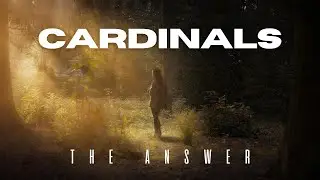 Cardinals - The Answer (OFFICIAL MUSIC VIDEO)