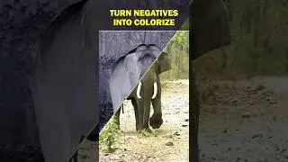 How to convert negative photos into colorize in Photoshop| Short Photoshop Guide |