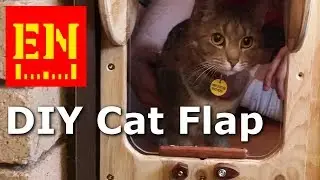 Cat Flap - Built and Rebuilt