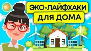 эко-советы для дома | домашние лайфхаки 12+