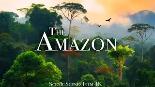 The Amazon 4K - Amazon Jungle and its Wild Animals | Rainforest Sounds | Scenic Relaxation Film