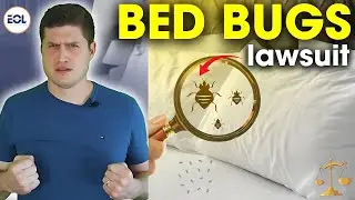 Bed Bug Bites in Hotels: Is It a Personal Injury Case?