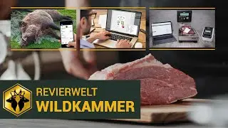 REVIERWELT Wildkammer: Fleischverwaltung&Wildbretmarkt