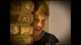 D - Rex Commercial