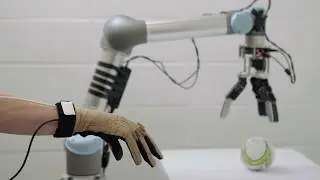 Robotic Manipulation and Mobility: Teleorobot