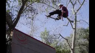 Checking In With CJ Collins
