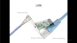 Network Scope - Local Area Network (LAN)