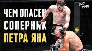 Кори Сэндхаген - Грамотный Нокаутер в UFC