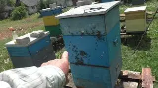 МАТКА ОБЛЕТЕЛАСЬ