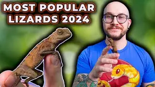 THIS LIZARD Will Be The MOST POPULAR Pet in 2024