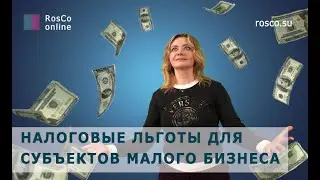 Налоговые льготы для субъектов малого бизнеса. Как не платить налоги?