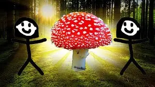 наше похождение по лесу