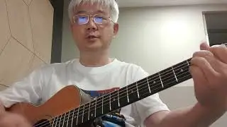 Papa - Anka(cover)