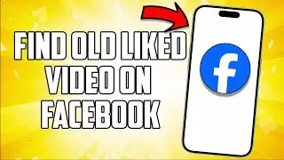 How to find an old liked video on facebook 2024