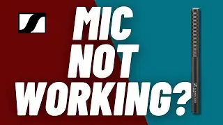 Replacement Warranty | Received Brand New Mic!