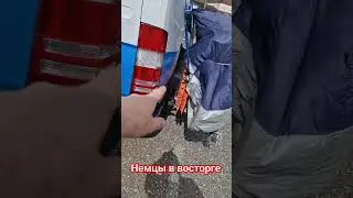 Немцы в восторге,  Грузия рулит. April 2024