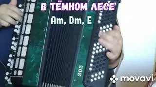 БАЯН.В ТЁМНОМ ЛЕСЕ.БЕЗ НОТ АККОРДАМИ Am, Dm, E, КАК НА  ГИТАРЕ.RUSSIAN SONG WITH BUTTON ACCORDION.