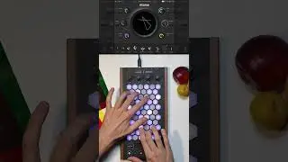 Exquis - @BABYAudio-official Atoms "Fractura Chime" #vst #plugin #mpe #controller #keyboard #midi