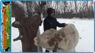 ВСЕХ НА МЯСО И НАМ БУДЕТ ПОПРОЩЕ ТАКОГО ОТ НЕЁ НИ КТО НЕ ЖДАЛ