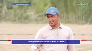 🧄 Учқўрғонда 2025 йил ҳосил учун 1492 гектар майдонда тўқсонбости усулида сабзавотлар экилади