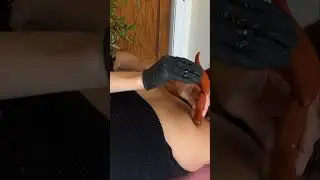 Asmr chiropractor 
