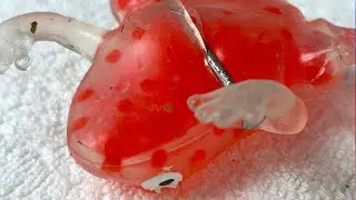HELP THE ORBEEZ FROG 