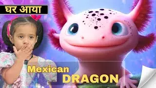 Mexican DRAGON aaya ghar 🐉 | Addya Special Vlog | Littleglove | 🐠 ​⁠@aquariumfishaqwashow3953