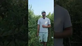 ЕДУ НА ВЫСТАВКУ В МОСКВЕ. До встречи на выставке в "Крокус Экспо" #выставка #цветыэкспо