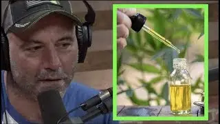 Joe Rogan CBD is One of the Best Things Ive Ever Tried for Anxiety