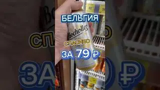 Евро пиво из КБ 