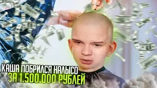 КАША ПОБРИЛСЯ НАЛЫСО. МЕЛСТРОЙ ЗАДОНАТИЛ 1.500.000 МИЛЛИОНА