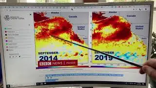 Marine Heat Waves Resulting in Severe Consequences: BLOB 2.0