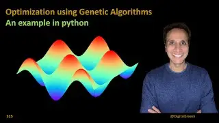 315 - Optimization using Genetic Algorithm