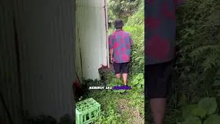 1 TAHUN KERJA DI JEPANG BISA BELI RUMAH INI!! 