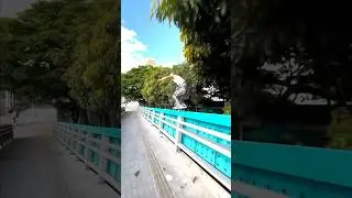 🇨🇴 ANDRES LOAIZA RAMÍREZ 🇨🇴