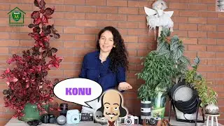 Evden Modafen - Fotoğrafçılık Kulübü