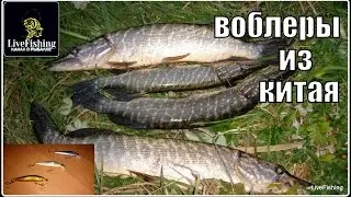 Китайские воблеры.  Рыбалка на спиннинг с лодки на реке Воронеж.  (LiveFishing)