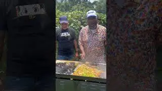 Check out this Alligator & Crawfish Pasta on the Flattop Griddle with ​⁠