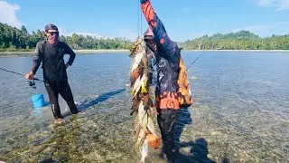 Spot sangat potensial main UL langsung full strike | Ultraligh Casting