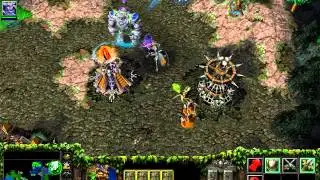 Warcraft 3 The Frozen Throne - За Ночных эльфов -Глава восьмая. Два брата