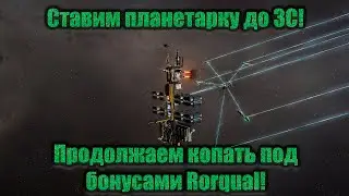 Ставим планетарку пока ждем ЗС! Копаем под бонусами Rorqual.