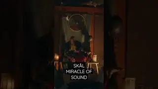 SKÅL by Miracle Of Sound