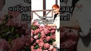 🤦🏻‍♂️🌼НЕ обрезать их летом - ОШИБКА!