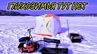 РЫБАЛКА с НОЧЁВКОЙ:Поклёвки Одна за Одной,Поставил Жерлицы,Готовлю в Чудо-Печке,Отогреваю Собачку.